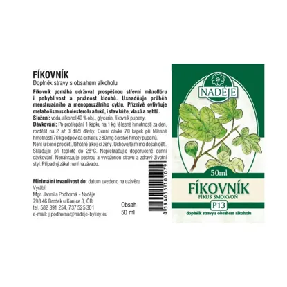 Fíkovník tinktura z pupenů