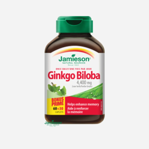 Ginkgo biloba
