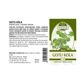 Gotu-kola (Brahmí)