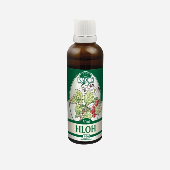 Hloch