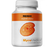 Medicinální a vitální houby