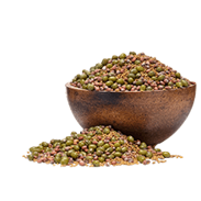 Semínka na klíčení