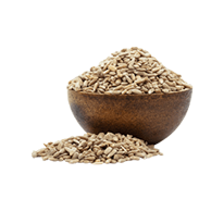 Slunečnicová semínka