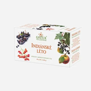 Indiánské léto ovocný čaj 20 sáčků 6 x 40 g