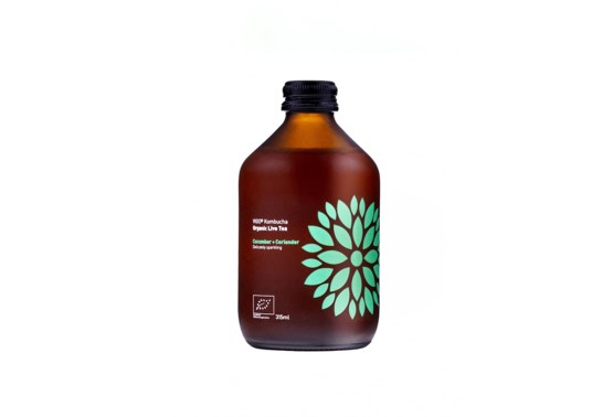 Kombucha okurka a koriandr BIO