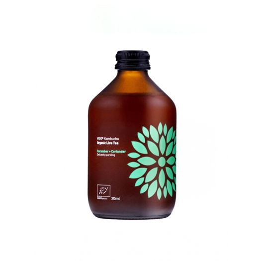 Kombucha okurka a koriandr BIO