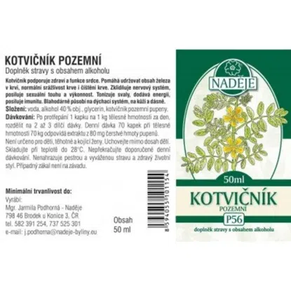 Kotvičník pozemní z pupenů