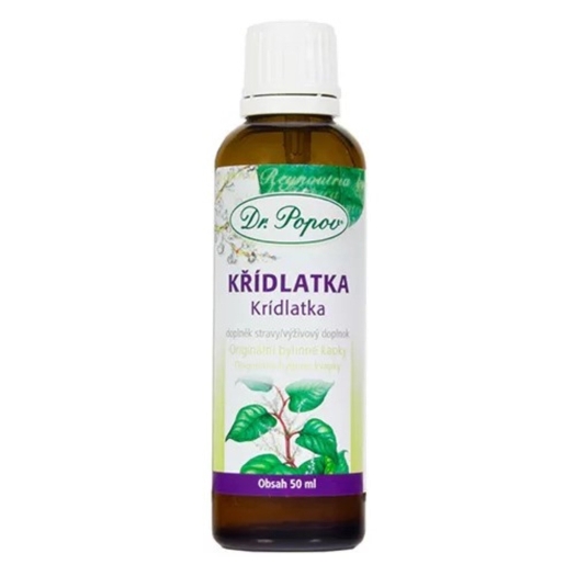 Křídlatka