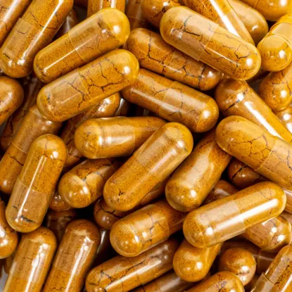 Kurkuma & Piperin BIO