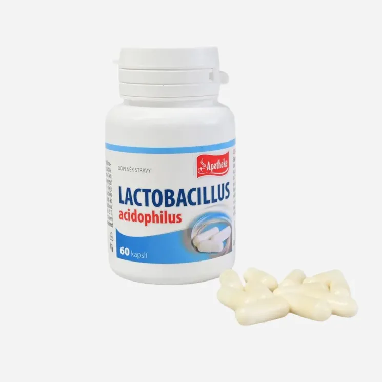 Lactobacillus 6 x 60 kapslí
