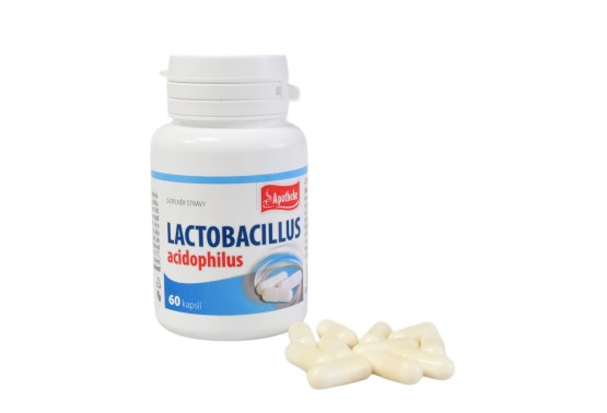 Lactobacillus
