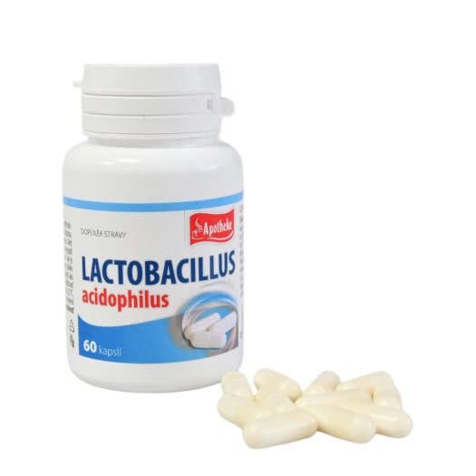 Lactobacillus