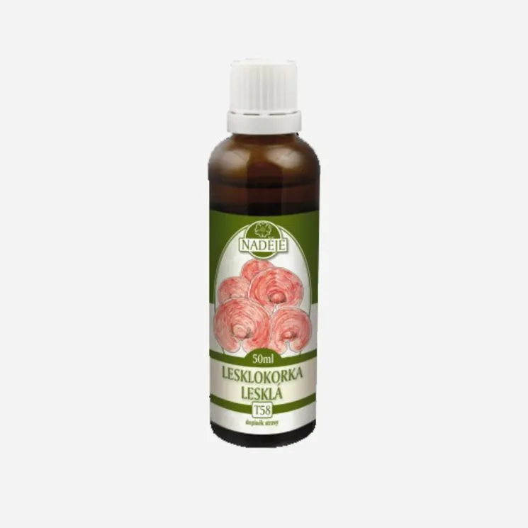 Lesklokorka tinktura z byliny 6 x 50 ml