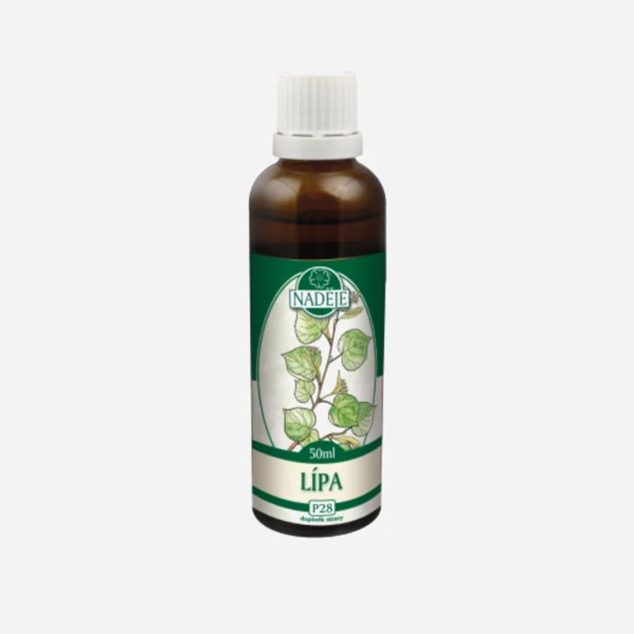 Lípa