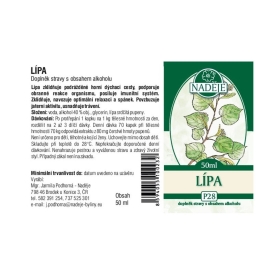 Lípa