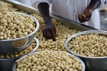 Makadamiové ořechy půlky