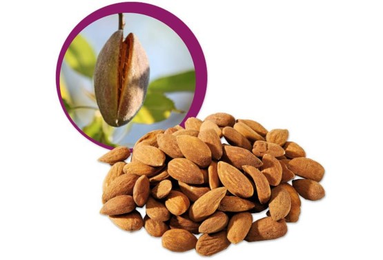Mandle natural BIO 500g