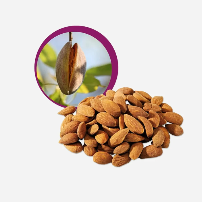 Mandle natural BIO