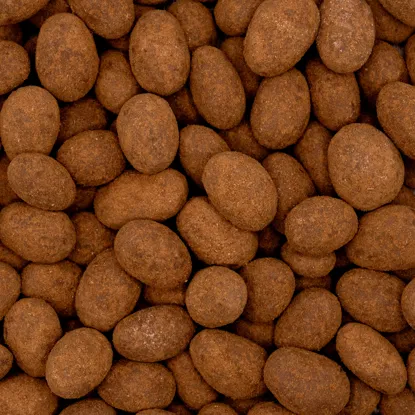 Mandle v mléčné čokoládě a skořici 6 x 500 g
