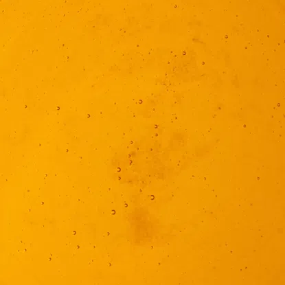 Med včelí květový smíšený lesní český