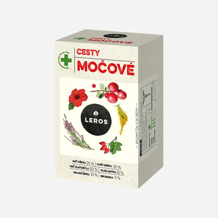 Močové cesty, ledviny