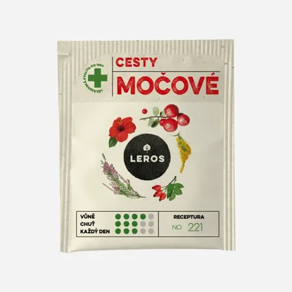 Močové cesty, ledviny