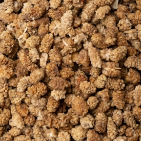 Moruše bílá BIO