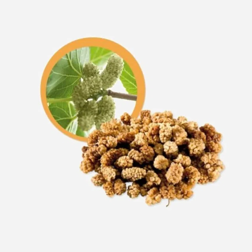 Moruše bílá sušená BIO