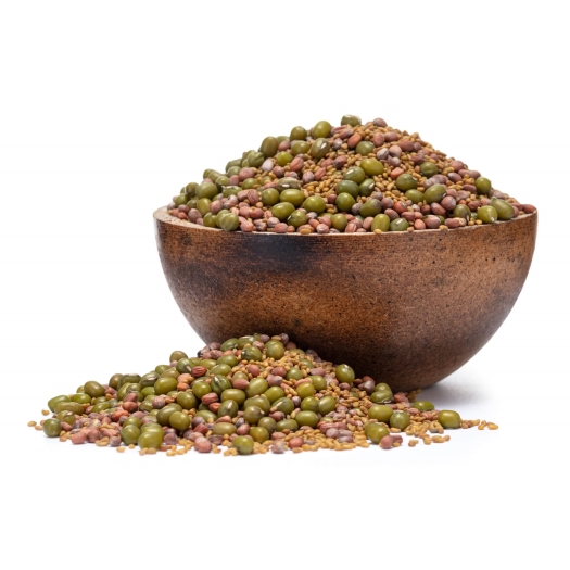 Mungo, alfalfa, ředkev BIO mix semínek na klíčení