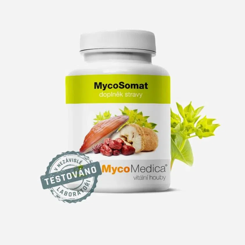 MycoSomat 90 tablet