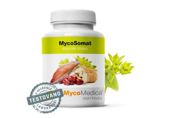 MycoSomat 90 tabliet