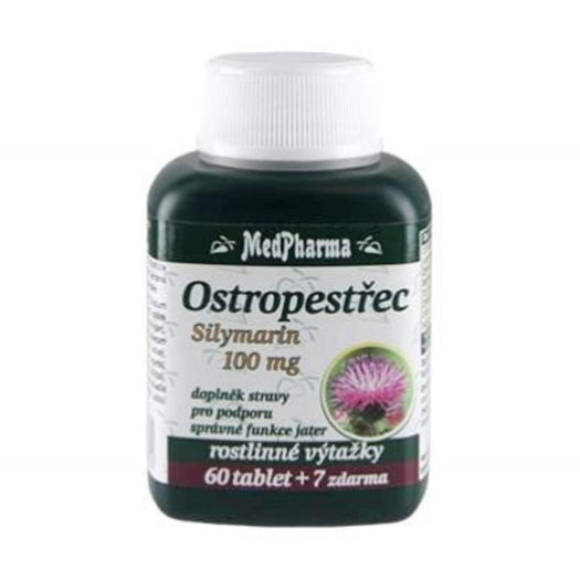 Ostropestřec (Silymarin 200 mg)