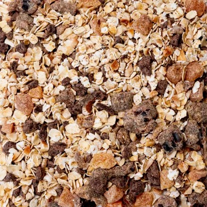 Ovesná kaše hořká čokoláda & lískové ořechy