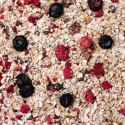 Ovesná kaše malina & borůvka 6 x 60 g