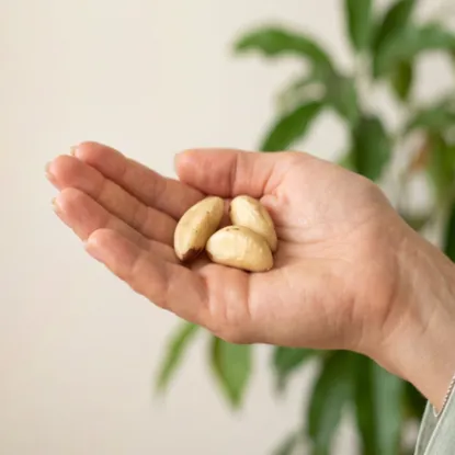 Para ořechy 6 x 500 g