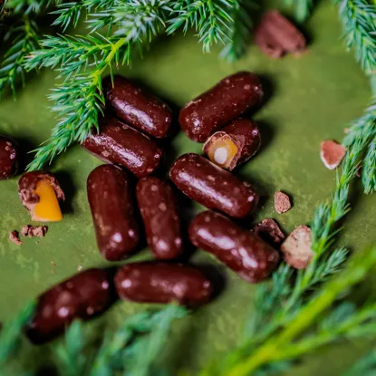 Pendrek v hořké čokoládě