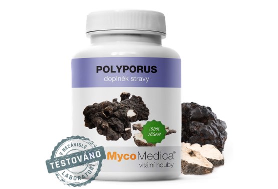 Polyporus 90 tabliet