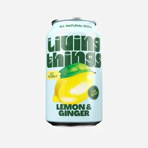 Soda citron a zázvor 12 x 330 ml