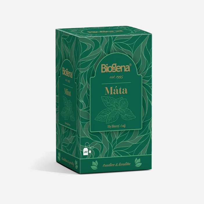Traditional máta