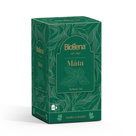 Traditional máta