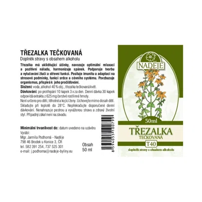 Třezalka