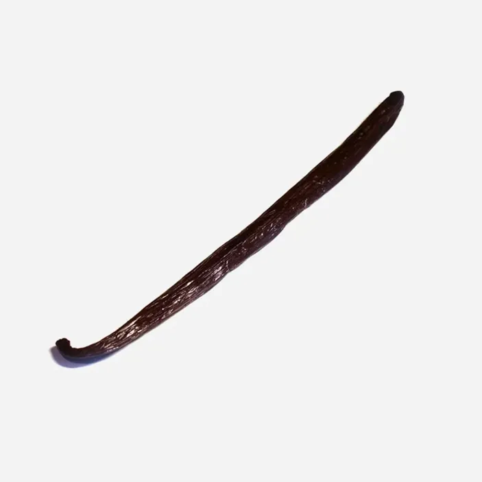 Vanilkový lusk Bourbon BIO