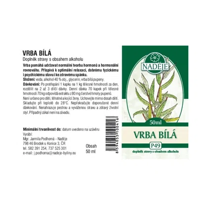 Vrba bílá
