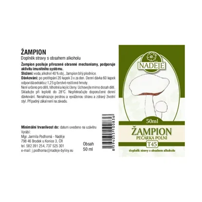 Žampion - tinktura z houby