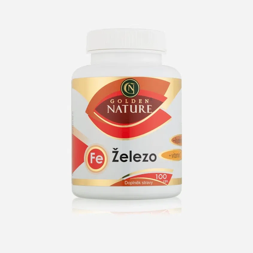 Železo+Vitamin C+Kys. listová 100 tablet